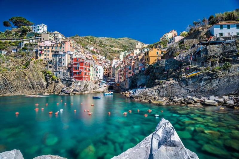 Ngành nghề chính của người dân tại Manarola là đánh bắt cá truyền thống và sản xuất rượu vang