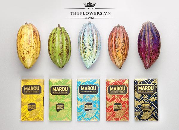 Marou (Socola mang thương hiệu Việt Nam)