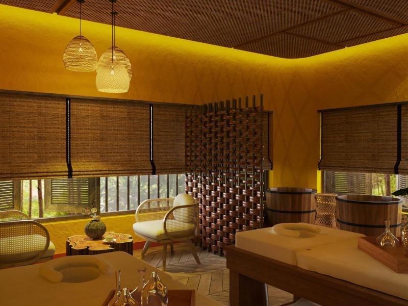 Massage trị liệu HaDu Việt Nam