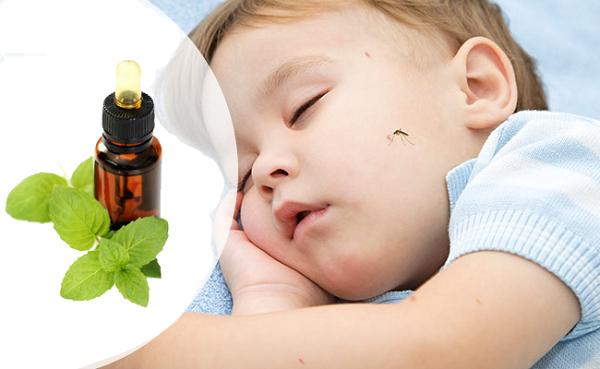 Massage với dầu bạc hà