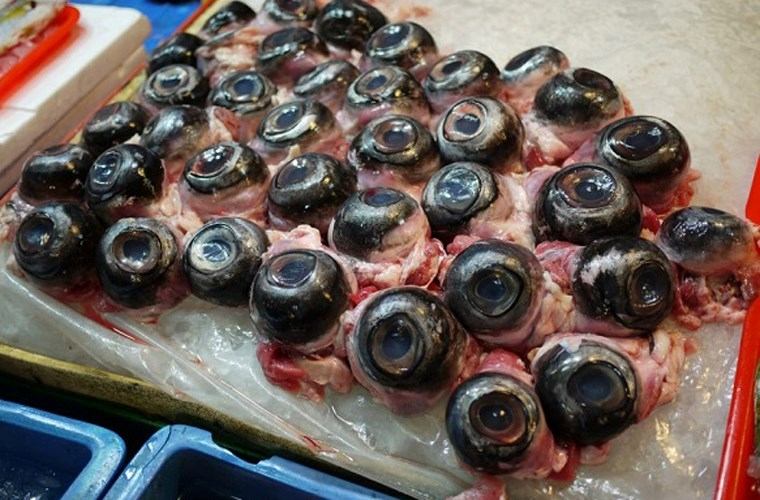 Mắt cá ngừ ở Nhật Bản