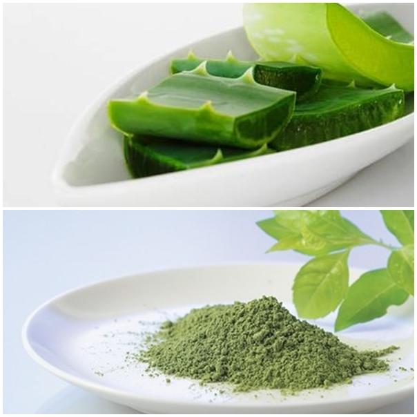 Mặt nạ trà xanh, lô hội