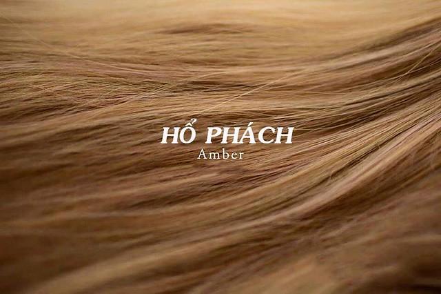 Màu hổ phách