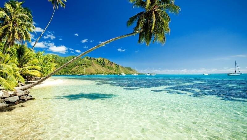 Maui - Hawaii