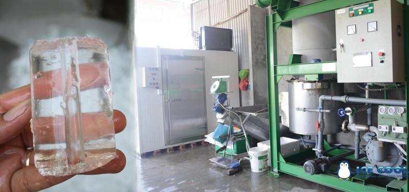 Công ty Cổ Phần Kỹ Nghệ Xanh Việt Nam