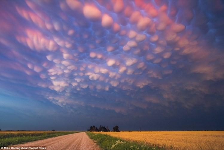 Mây Mamatus
