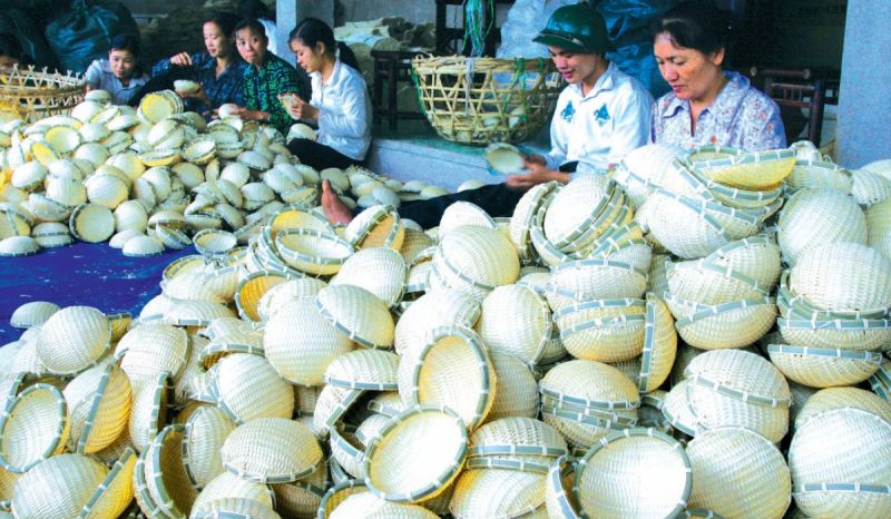 Mây tre đan Tăng Tiến
