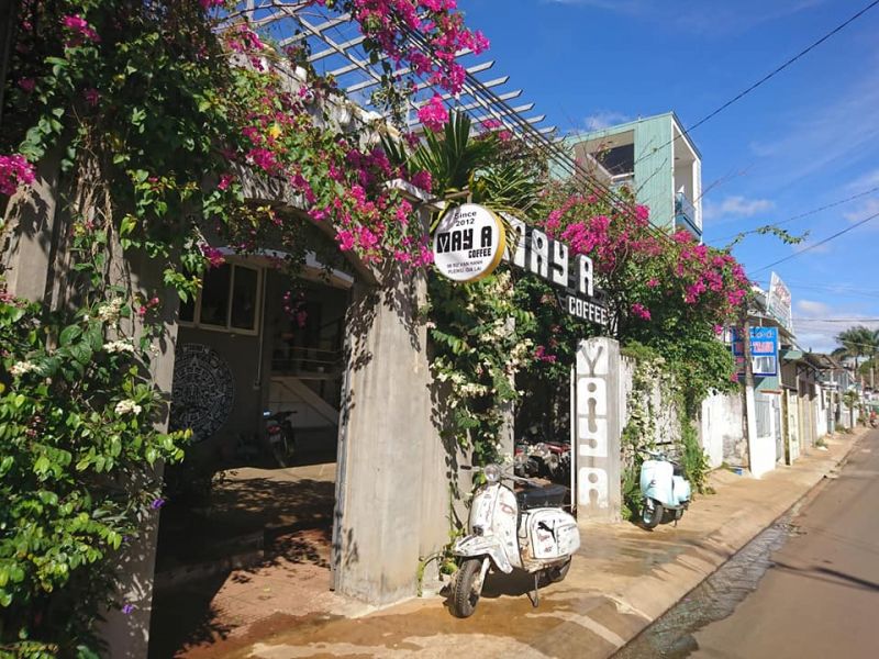 Maya Coffee