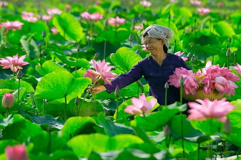 Nụ cười của mẹ làm ấm áp lòng con