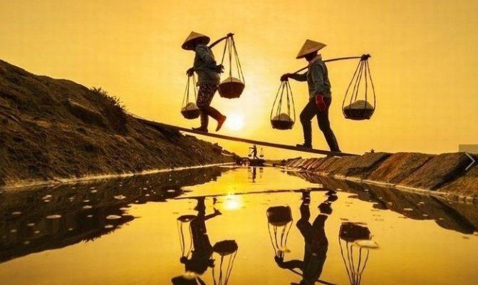 Lòng thành dâng mẹ tách trà vu lan