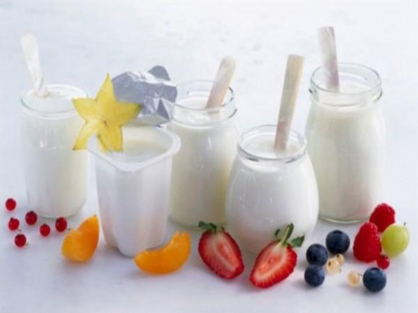 Men vi sinh probiotic