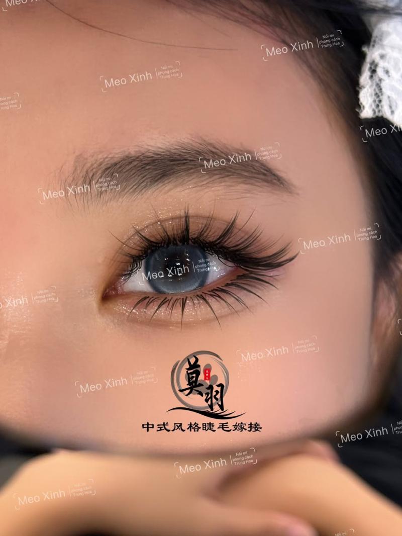 Meo Xinh