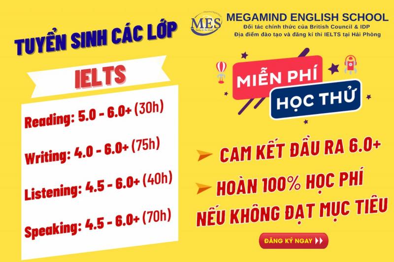 MES- Megamind English School