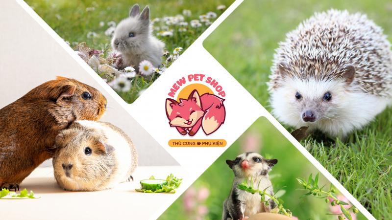 Mew Pet Shop