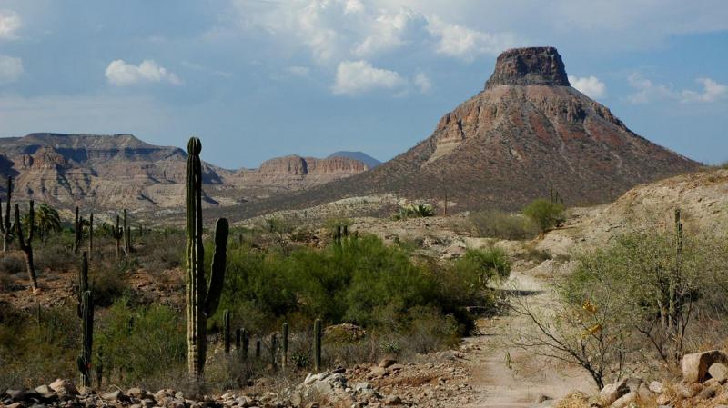 Mexico