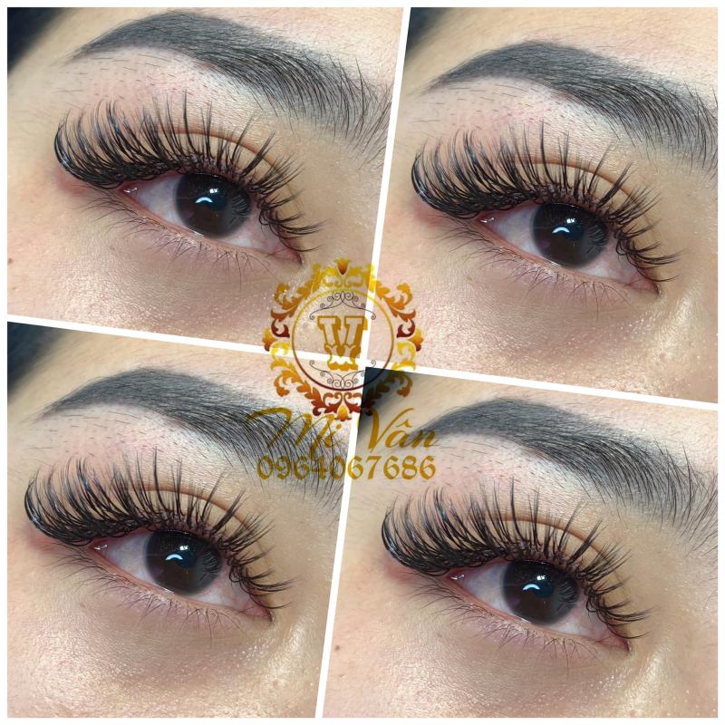 Mi Vân Eyelash