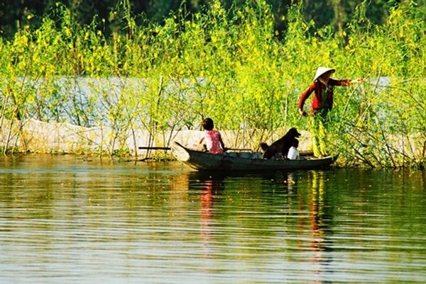 Miền Tây