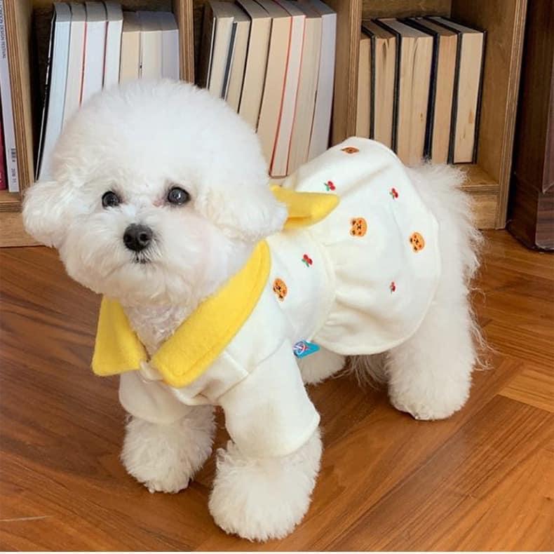 Mimi Pet