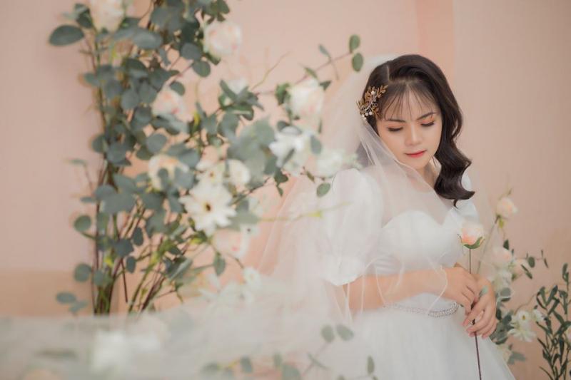 Mimoza Phủ Lý