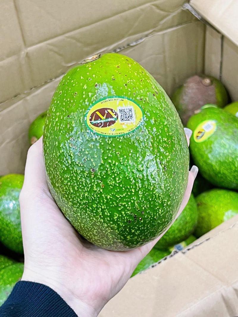 Mina Fruits