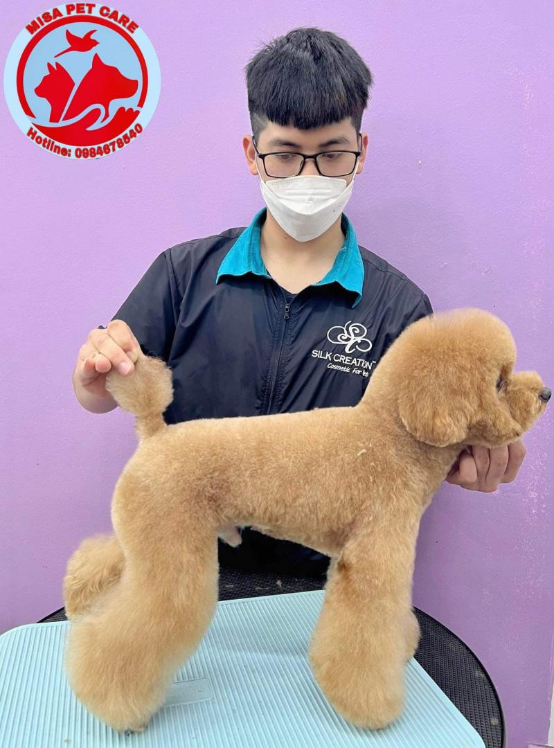 Misa Pet Care - Trung Tâm Chăm Sóc Thú Cưng Hải Dương