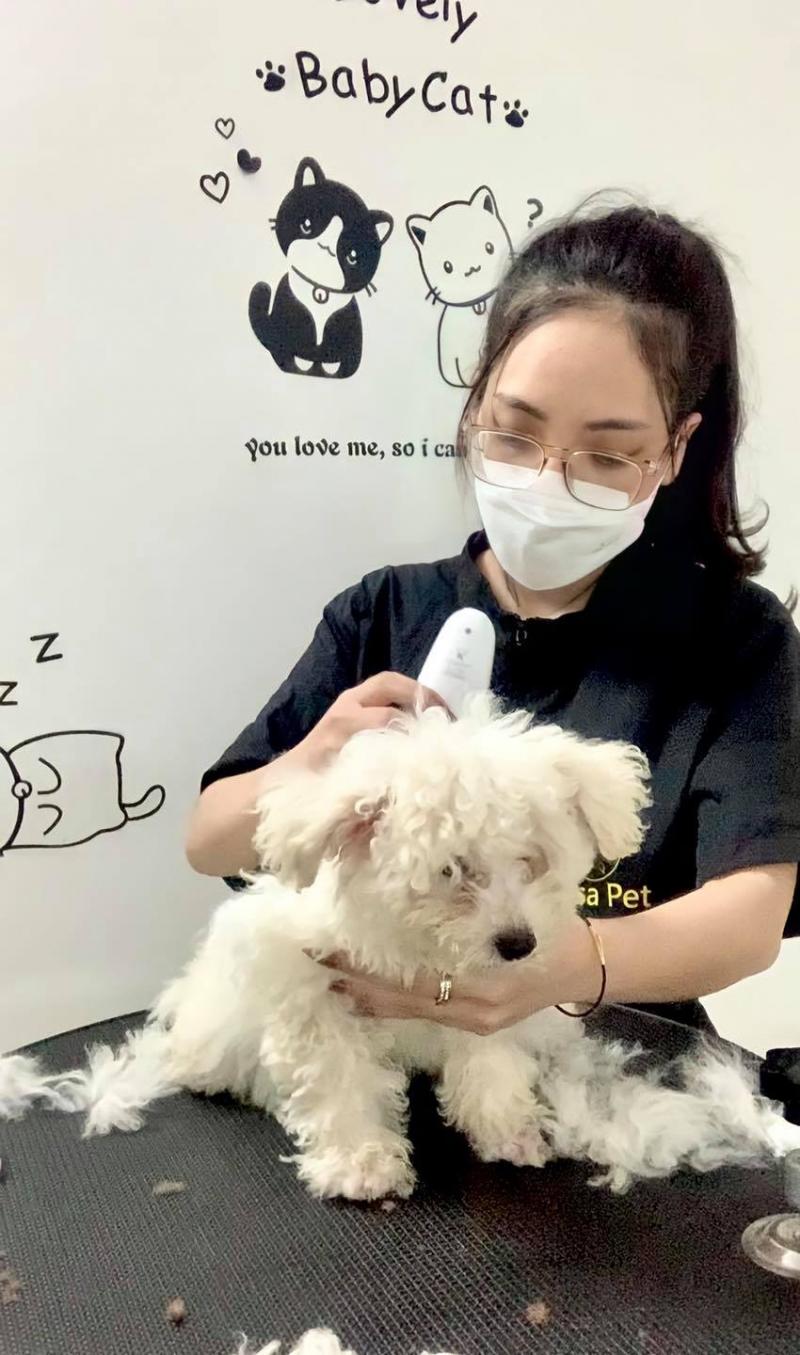 Misa Pet Shop