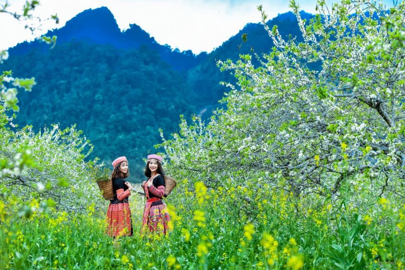 Du lịch Mộc Châu tháng 10