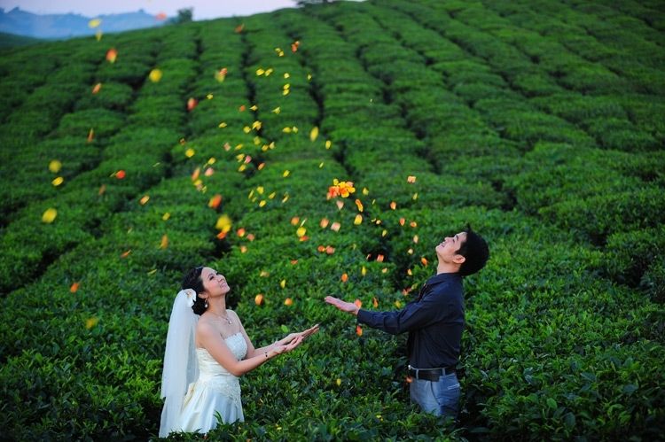 Mộc Châu, nơi chụp ảnh cưới đẹp ở miền Bắc