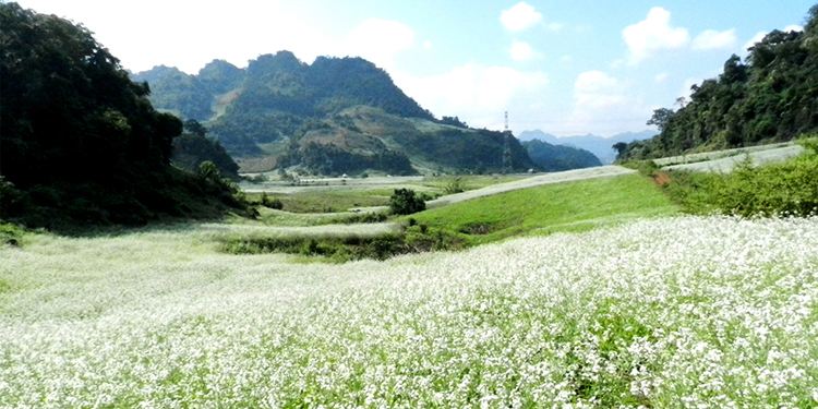Ảnh minh họa (nguồn internet)