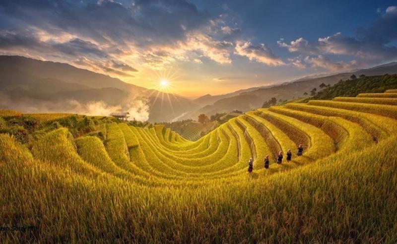 Mộng qua đầu ngõ