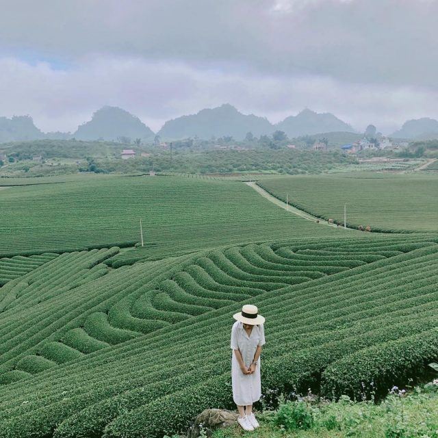Mộc Châu – Sơn La
