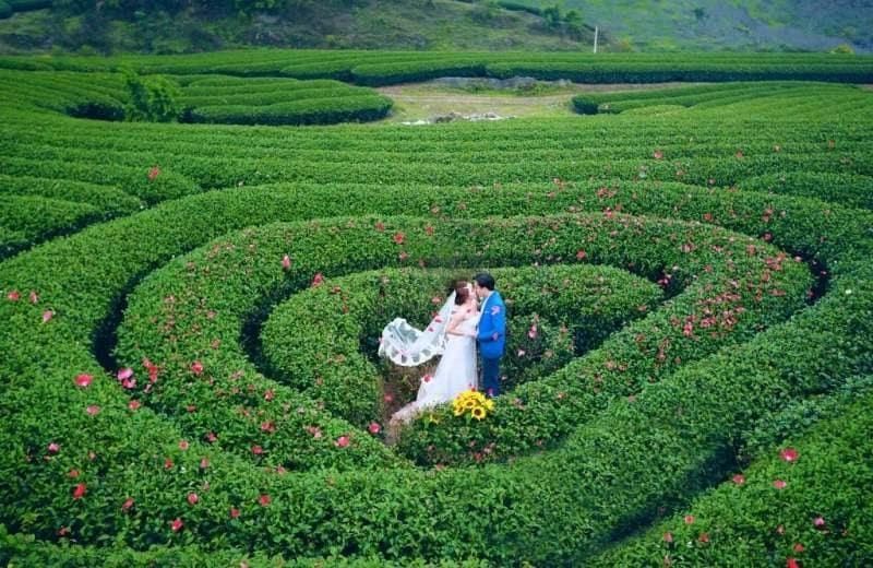 Chụp ảnh cưới ở Mộc Châu - Sơn La