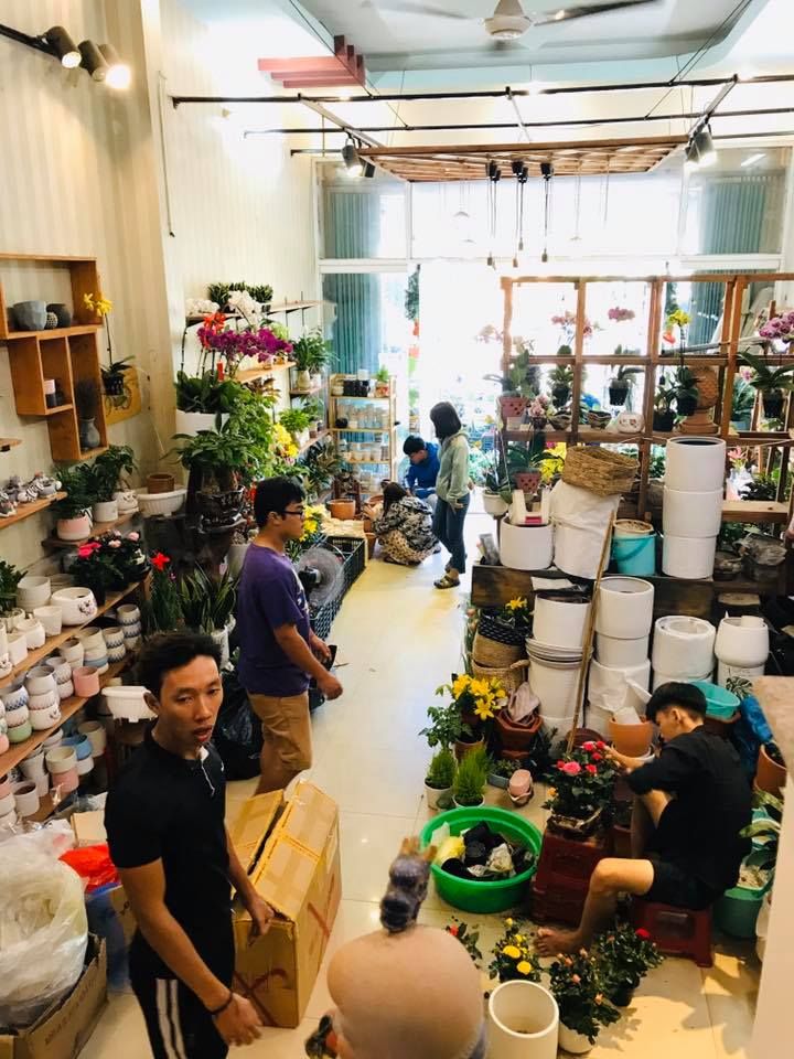Mộc Garden - terrarium, sen đá, cây văn phòng - Đà Nẵng