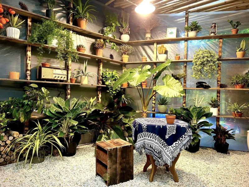 Mokuzo Cafe