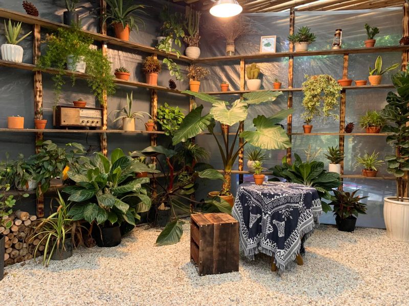 Mokuzo Cafe