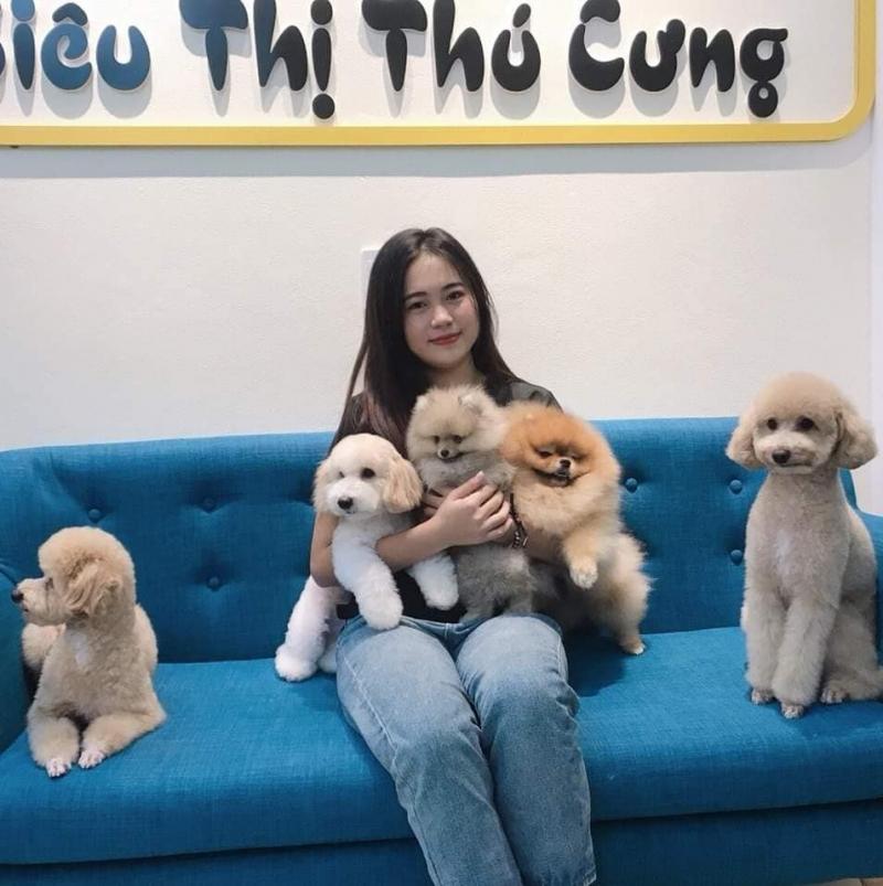 MOMO PET