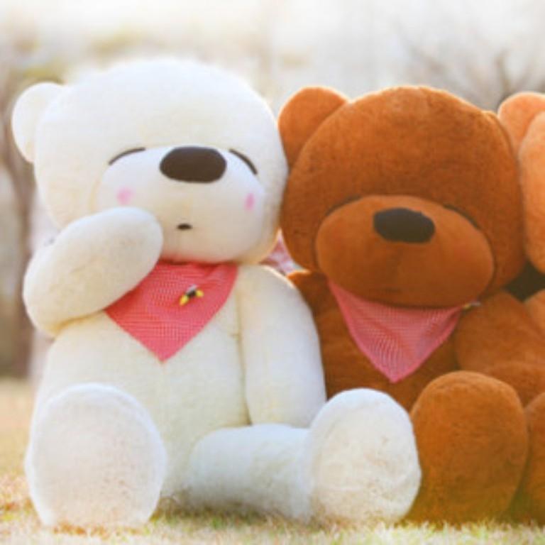 Cái đầu chú tròn tròn như trái bưởi, đôi tai cũng tròn tròn vểnh lên trông thật là ngộ nghĩnh!