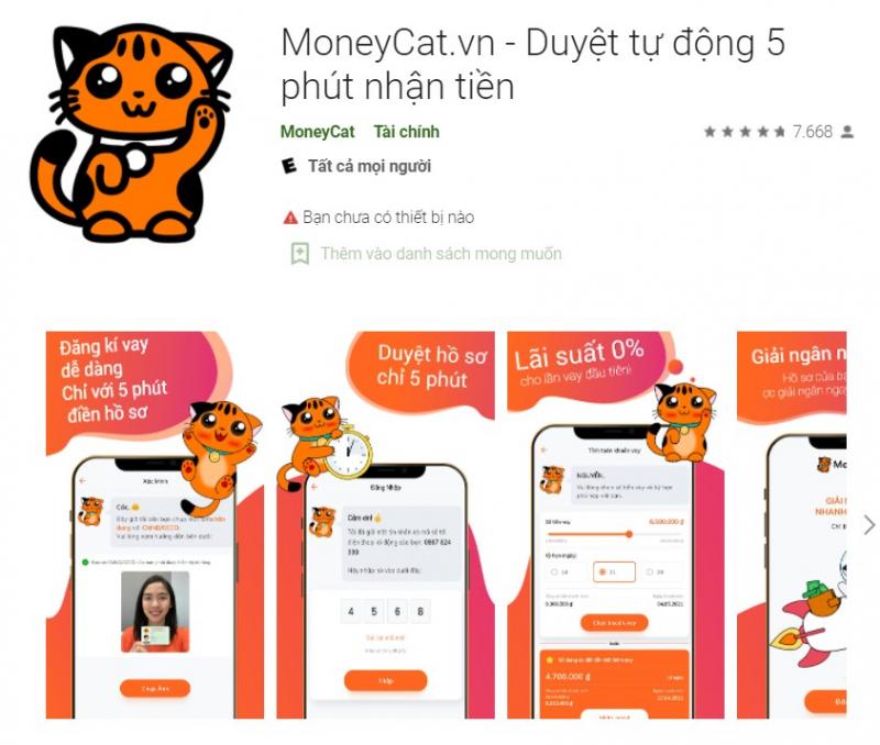 Money Cat