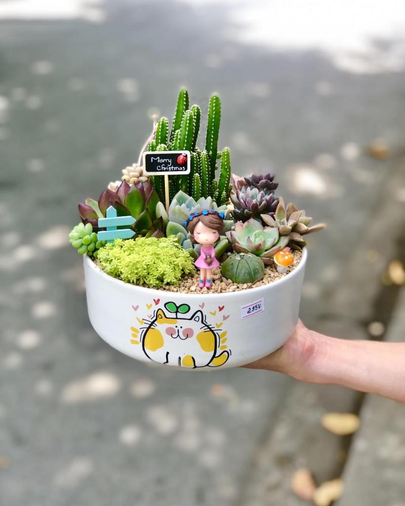 Moon’s Garden