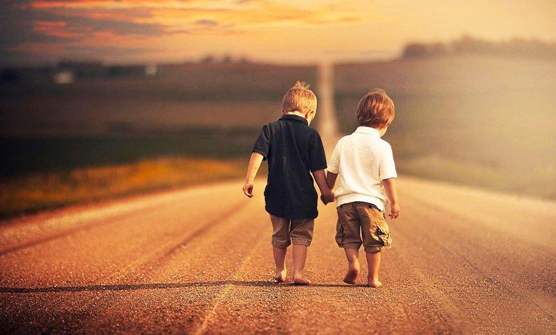 Câu chuyện về tình bạn