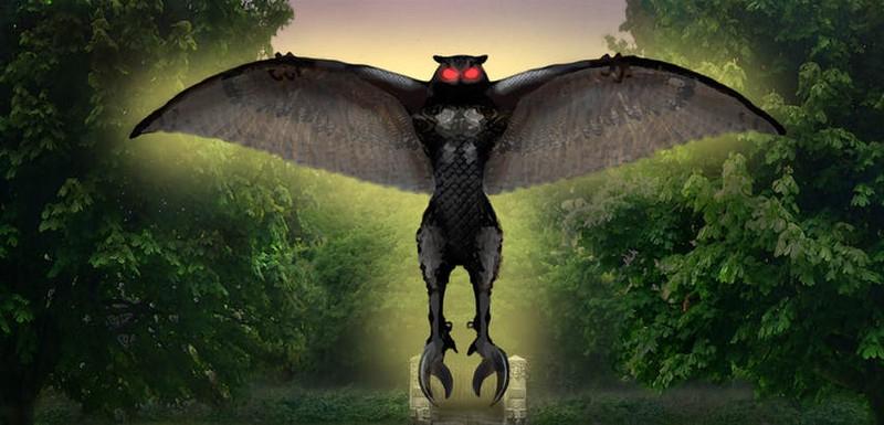 Mothman và người cú