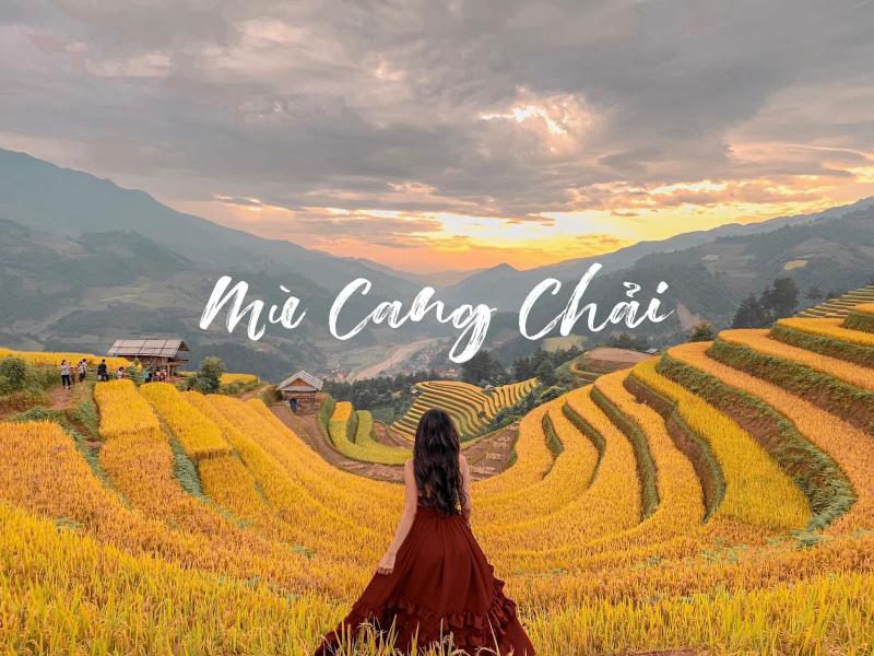 Bình minh mùa vàng Mù Cang Chải