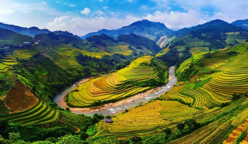 Mù Cang Chải - Việt Nam