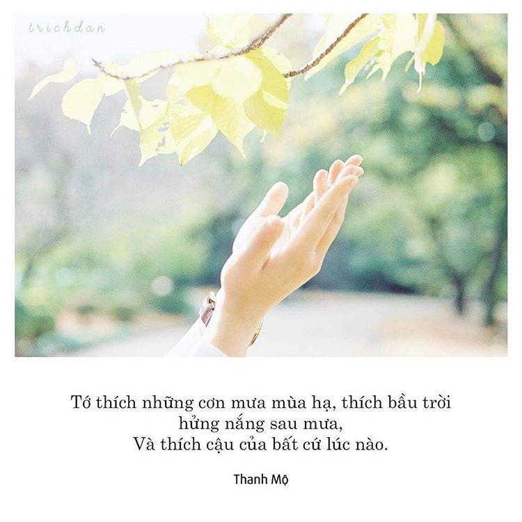 Mùa hạ chung tình