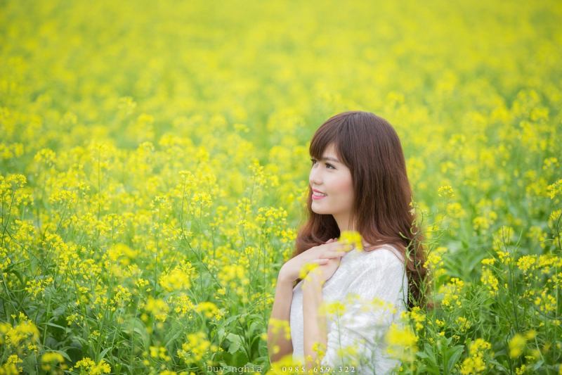 Mùa hoa cải lại về
