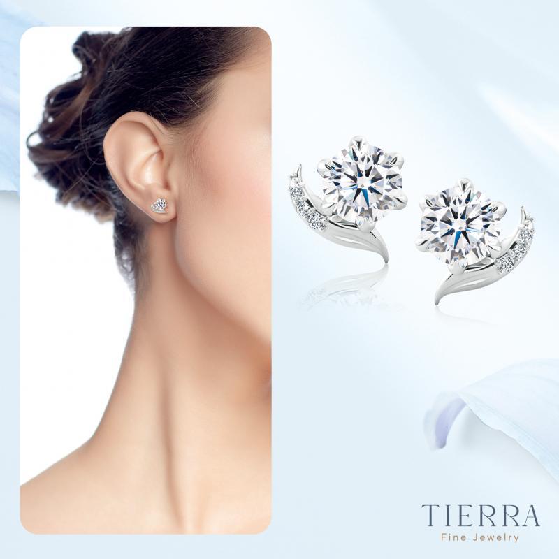 Tierra Diamond