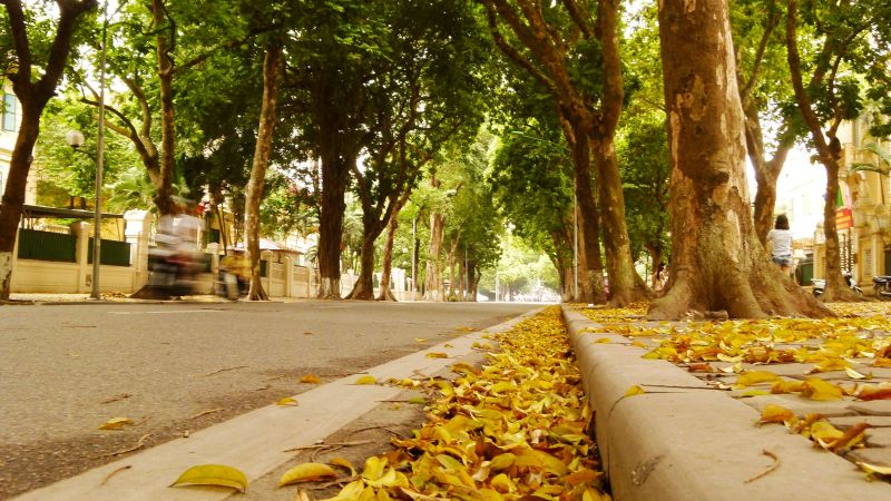 Mùa thu Hà Nội