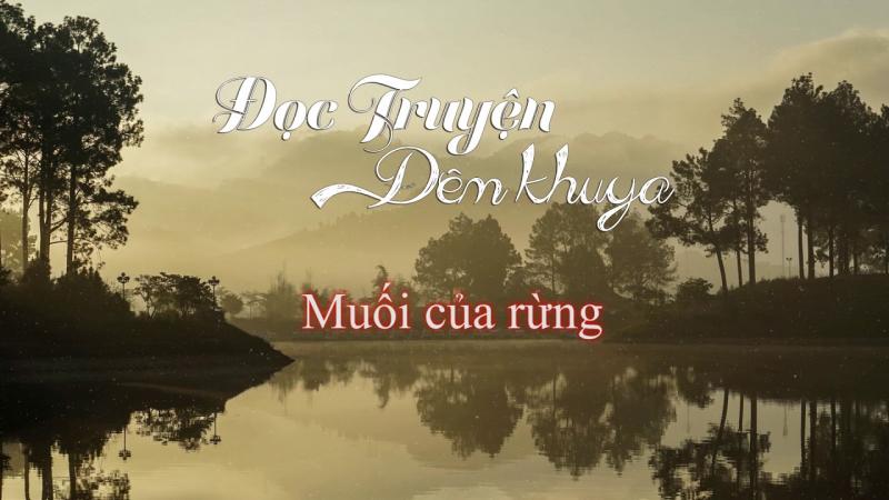 Muối của rừng