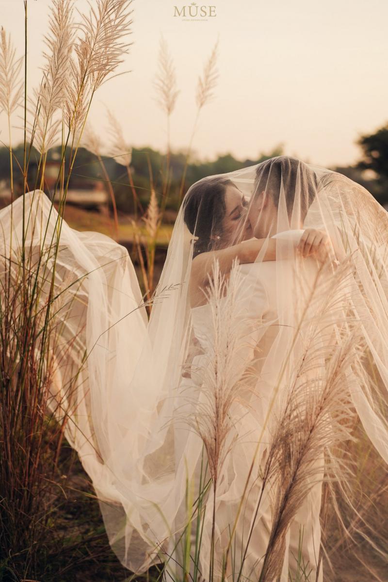 Muse Wedding