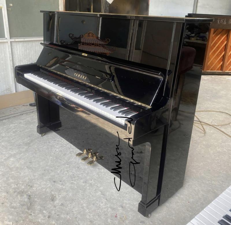 Music Garden Education VN